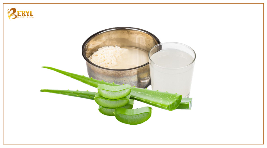 Nha đam kết hợp với nước vo gạo sẽ cho ra hỗn hợp trị thâm mụn hiệu quả